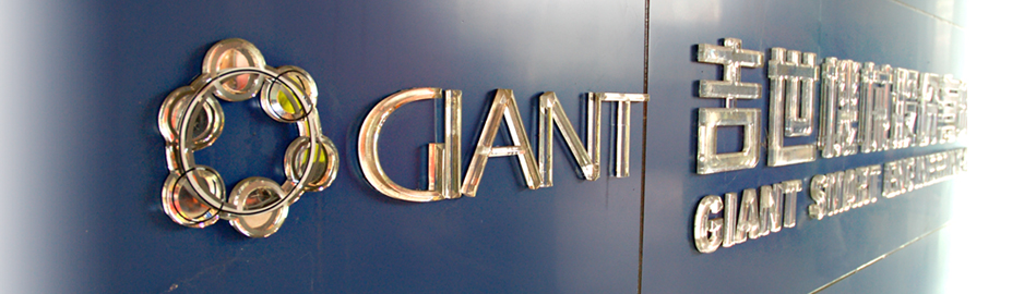 Giant Smart